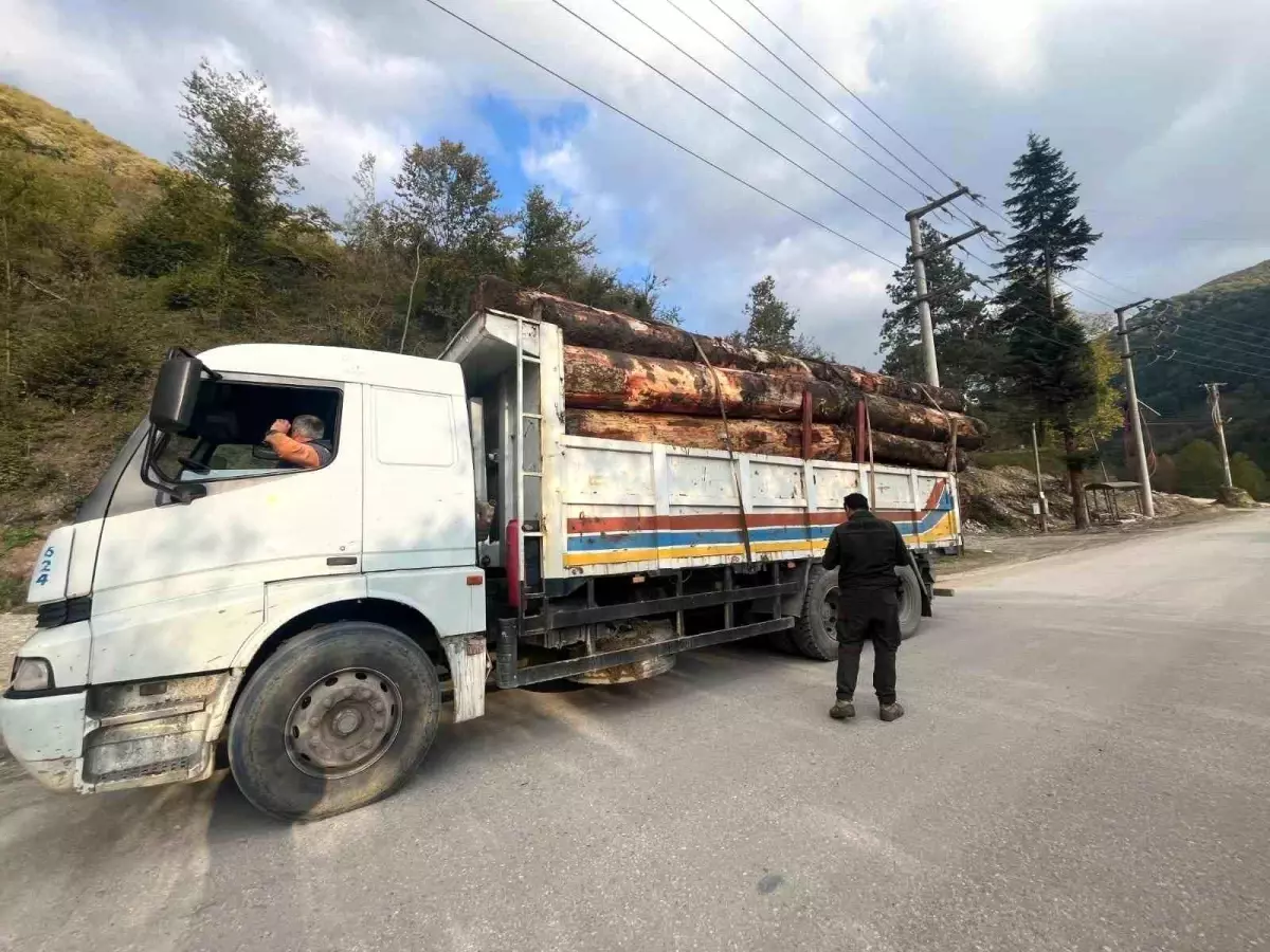 Bolu’da Orman Kaçakçılığı Denetimi