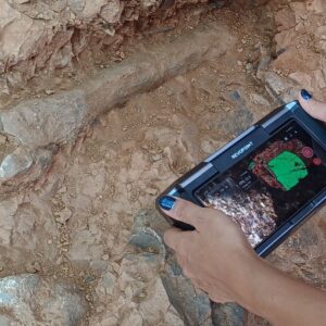 denizlideki kazilardan fosil fiskirdi zurafa fil gergedan at surungen 9F8VCinz