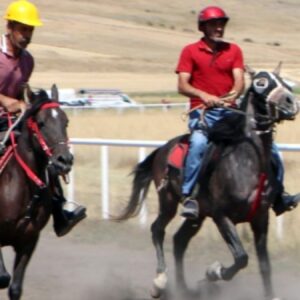 erzurumda rahvan atlar tozu dumana katti UwI14yjK