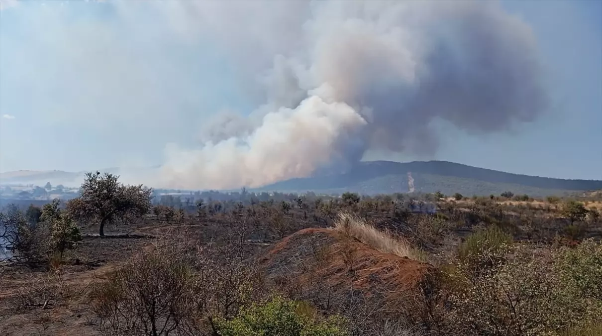 geliboluda tarim arazisinde yangin OTXGd9G9