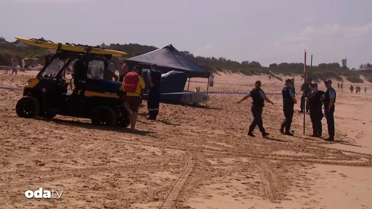 sydneyde kopekbaligi dehseti 1 olu bafCNW8q