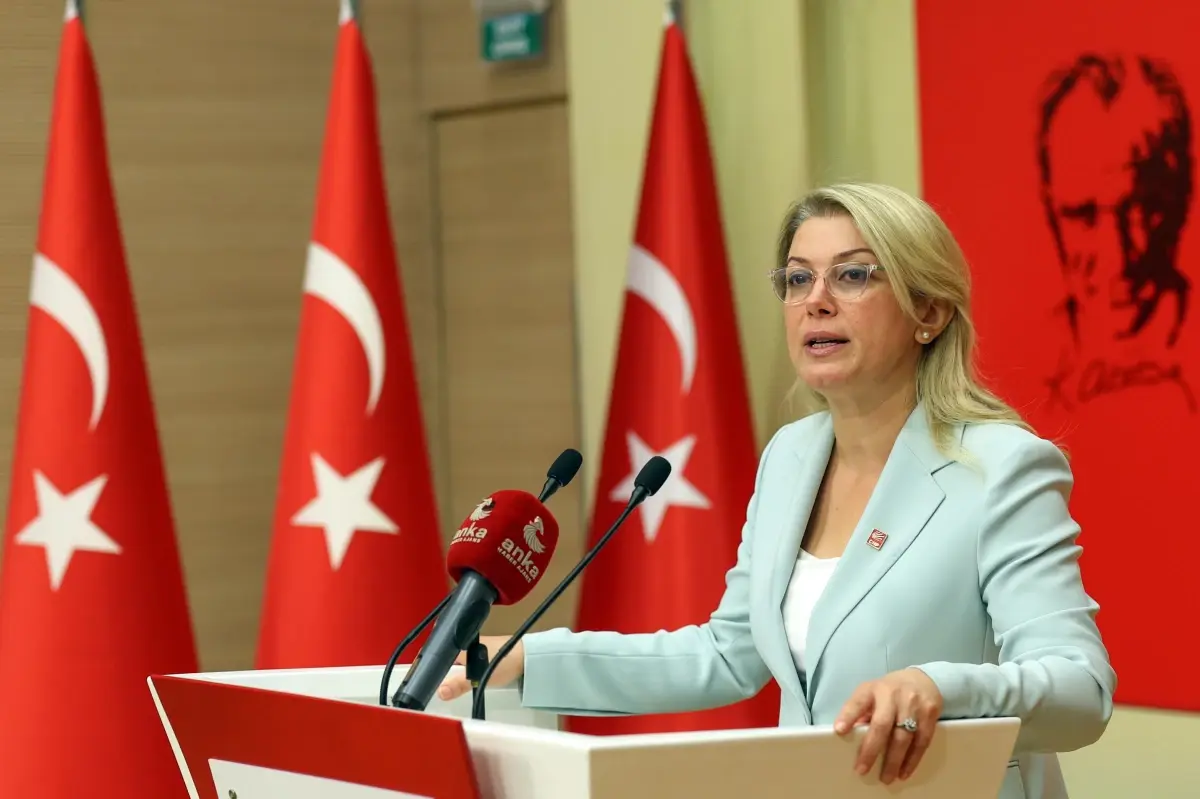 kiz cocuklarinin haklari ve istanbul sozlesmesi uzerine chp aciklamasi 12B6JLHE