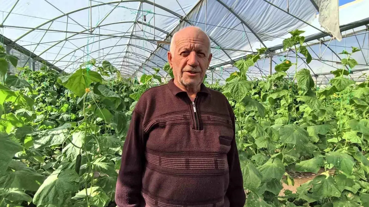 uzunderedeki sera yil boyu uretim yapiyor nXDbkb8n