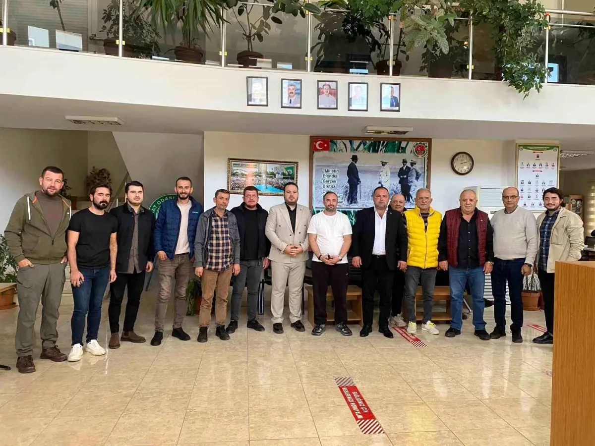 zeytin maliyeti belirlendi xCclQckv.jpg