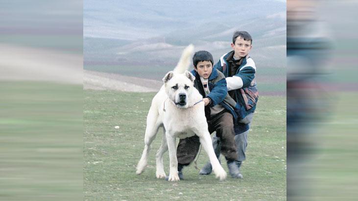 sivas ucretsiz erisime acildi uINnjA5p.jpg