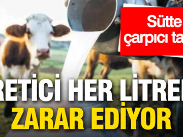 Turizm Sektöründe Çalışanlar İçin Barınma Çözümleri