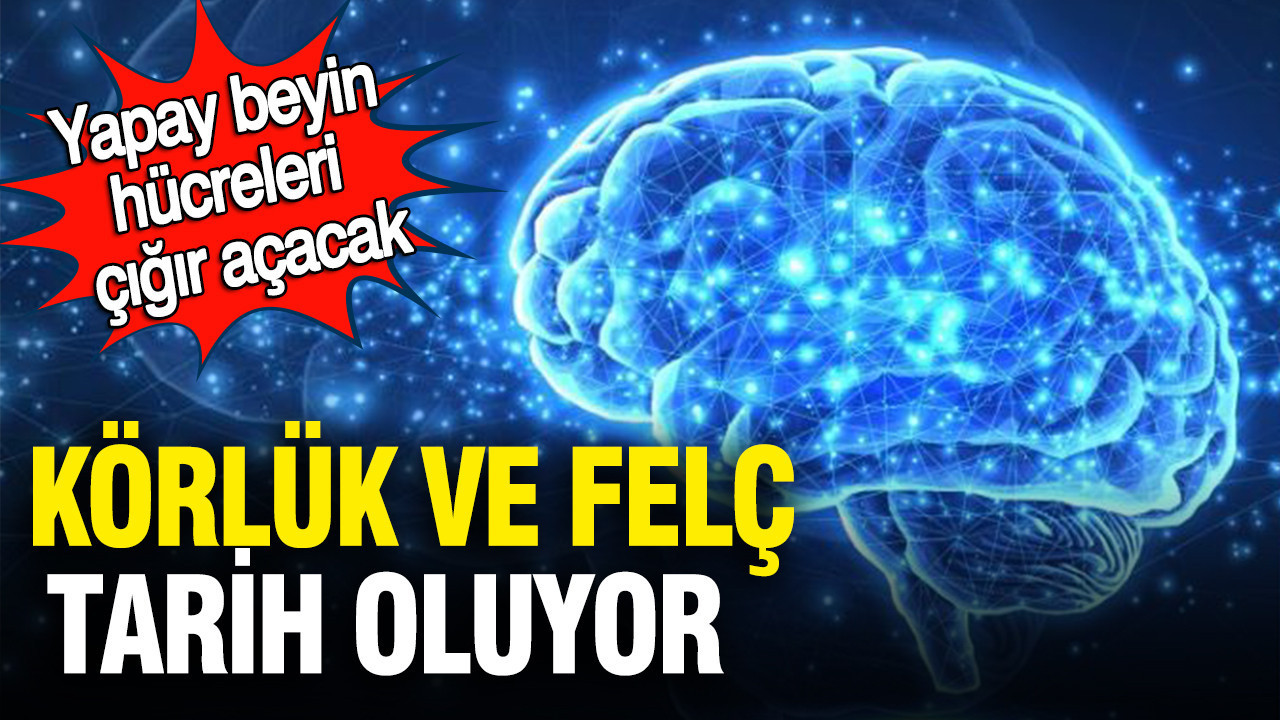 yapay-beyin-hucreleri-cigir-acacak-korluk-ve-felc-tarih-oluyor-nN9FT3Bk