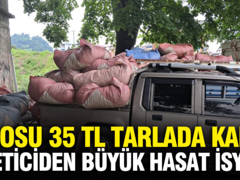 Kilosu 35 liradan tarlada satilamiyor uretici dertli FVxlbrJQ