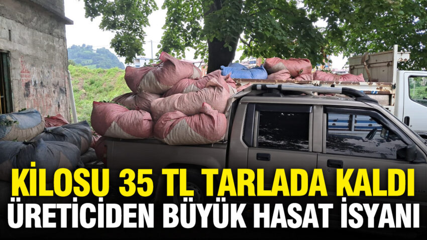 Kilosu 35 liradan tarlada satilamiyor uretici dertli FVxlbrJQ